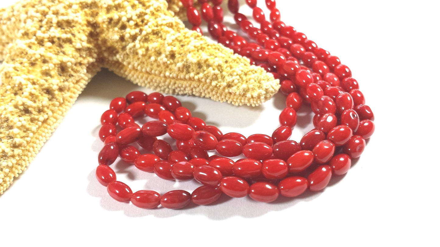 Bamboo Coral Red Rice