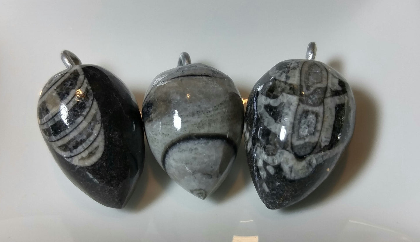 Orthoceras Fossil Pendant