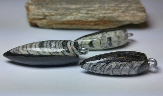 Orthoceras Fossil Pendant-Long