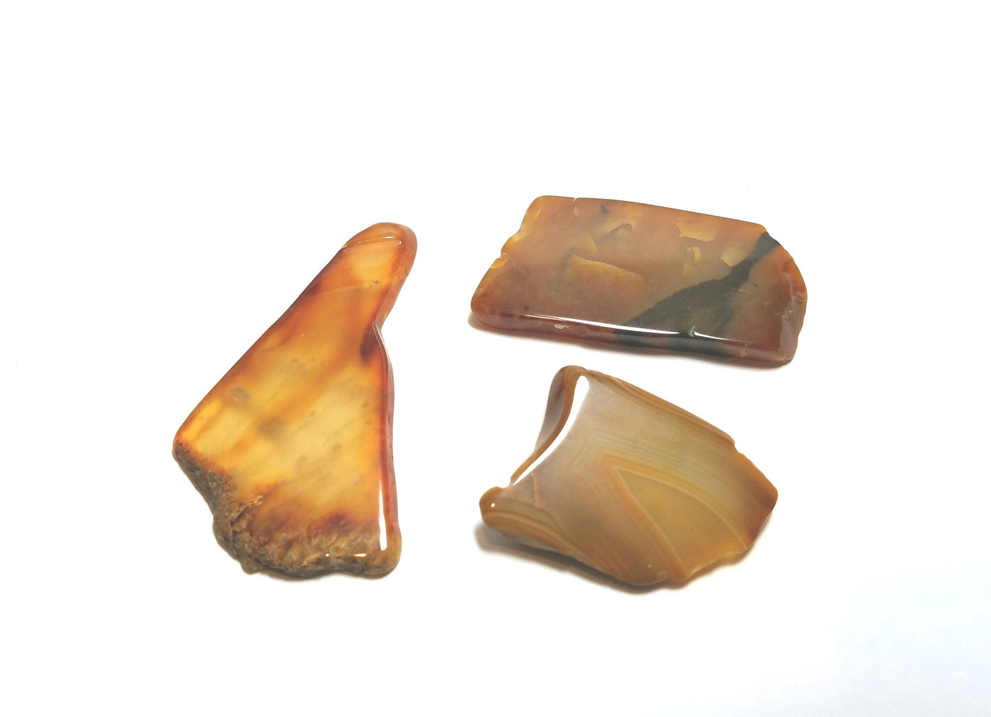 3 Slices of Genuine Agate