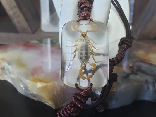 Real Scorpion bracelet
