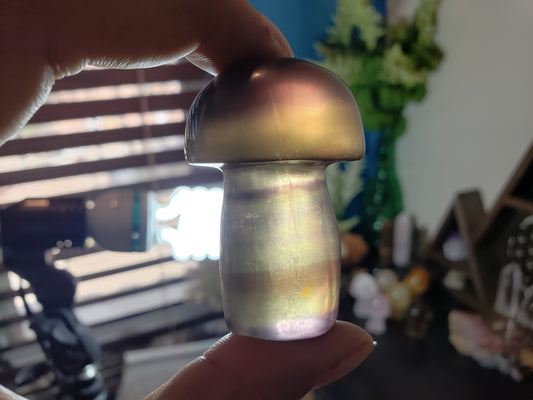 Rainbow Fluorite Mushroom #3