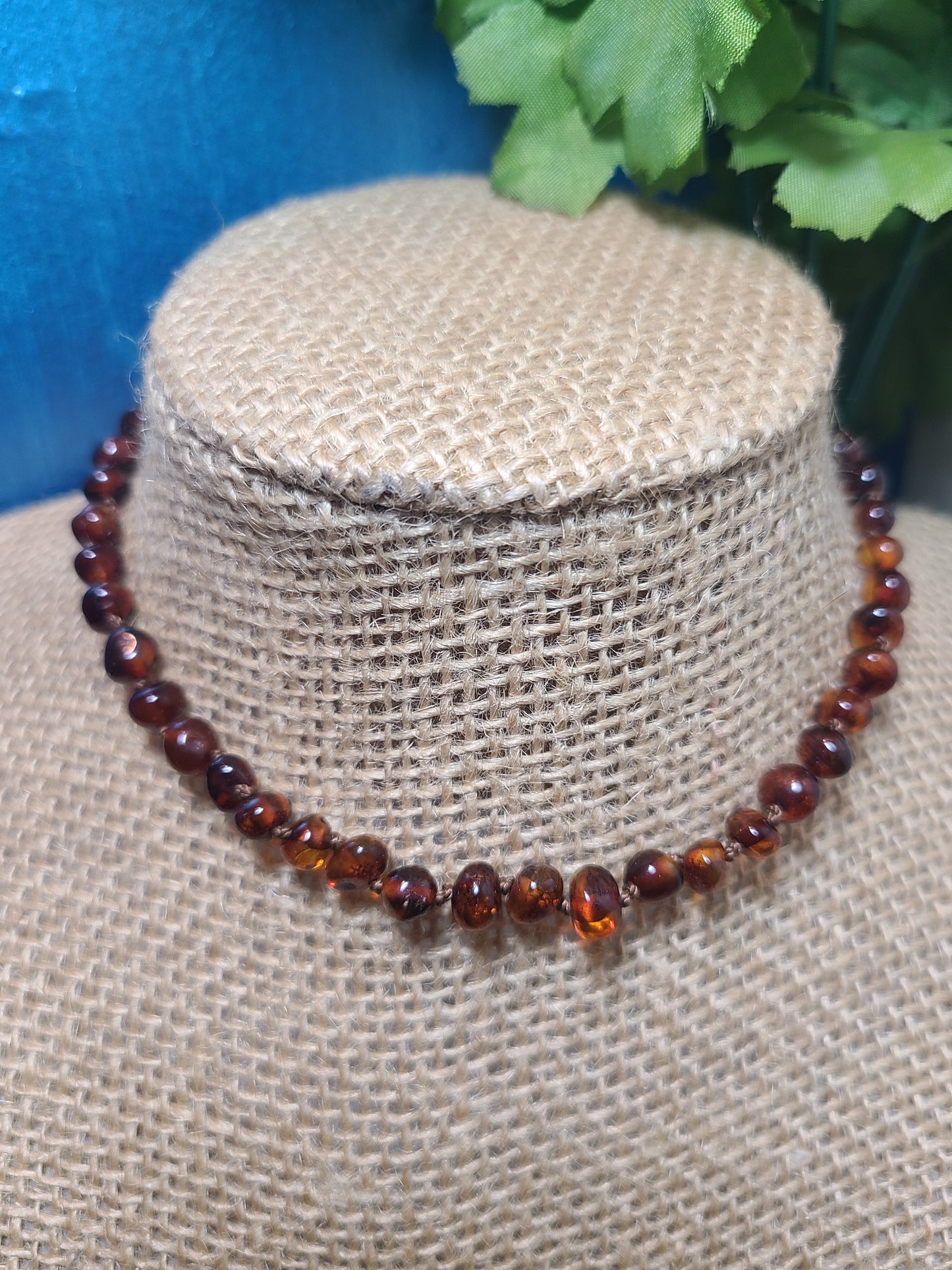 Amber Baby Necklace-dark honey