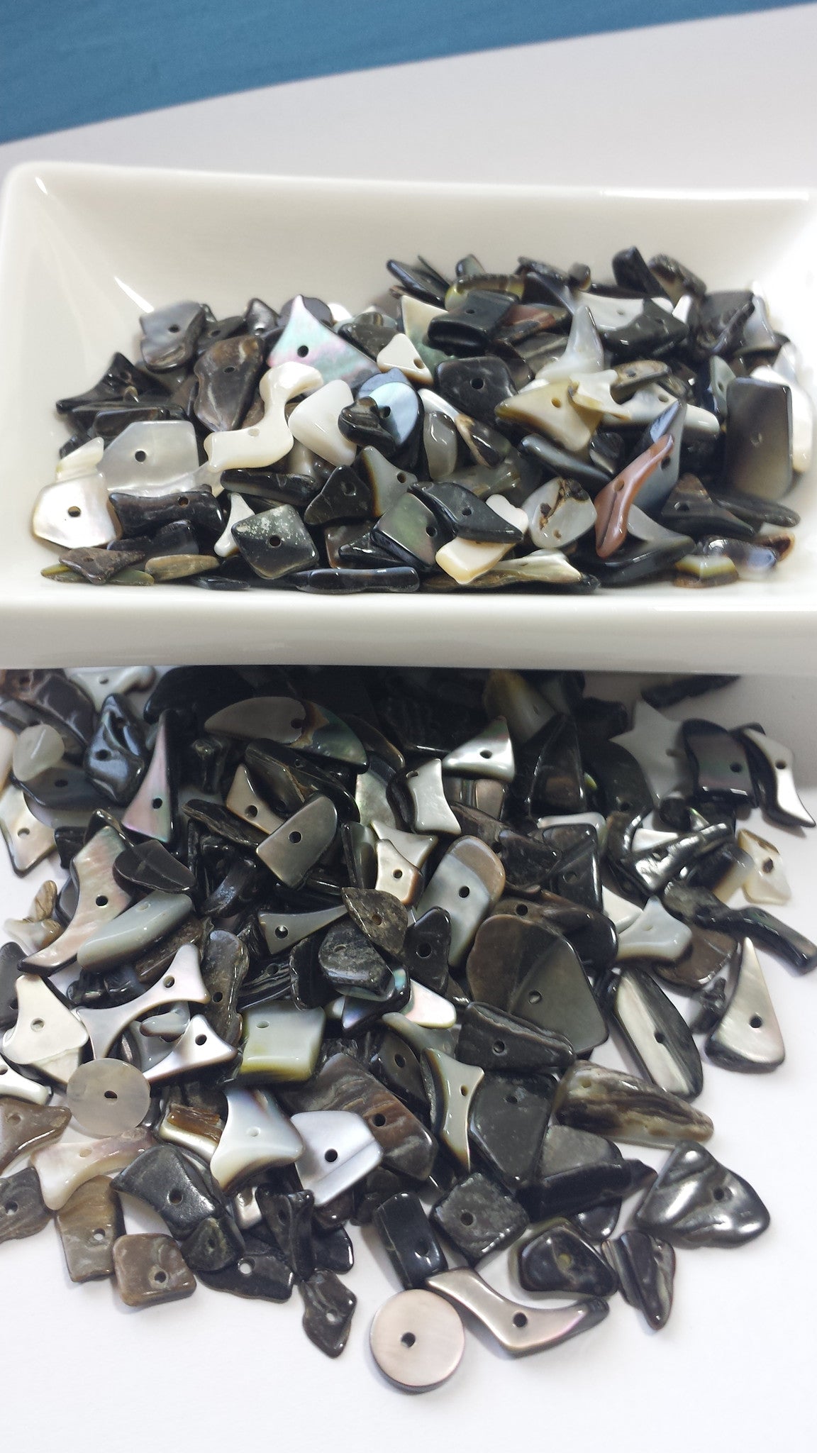 Black Lip Shell Chips-Extra Fat Pack 450-500c