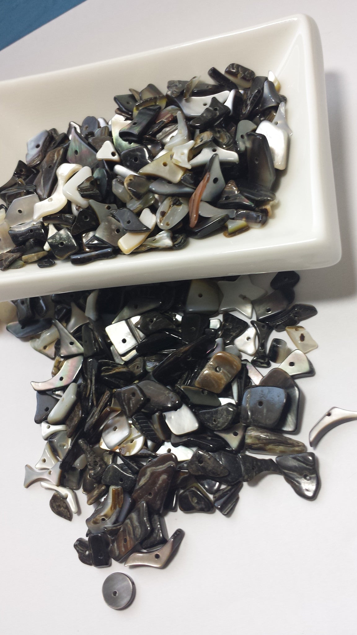 Black Lip Shell Chips-Extra Fat Pack 450-500c