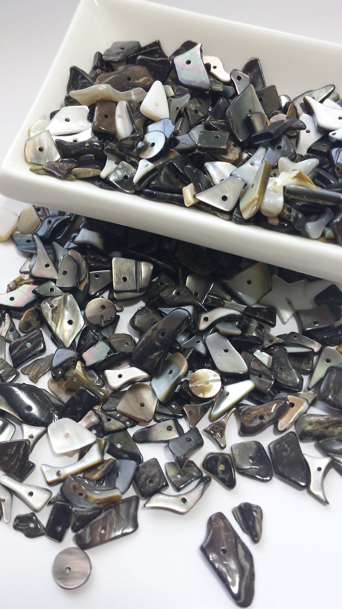 Black Lip Shell Chips-Extra Fat Pack 450-500c