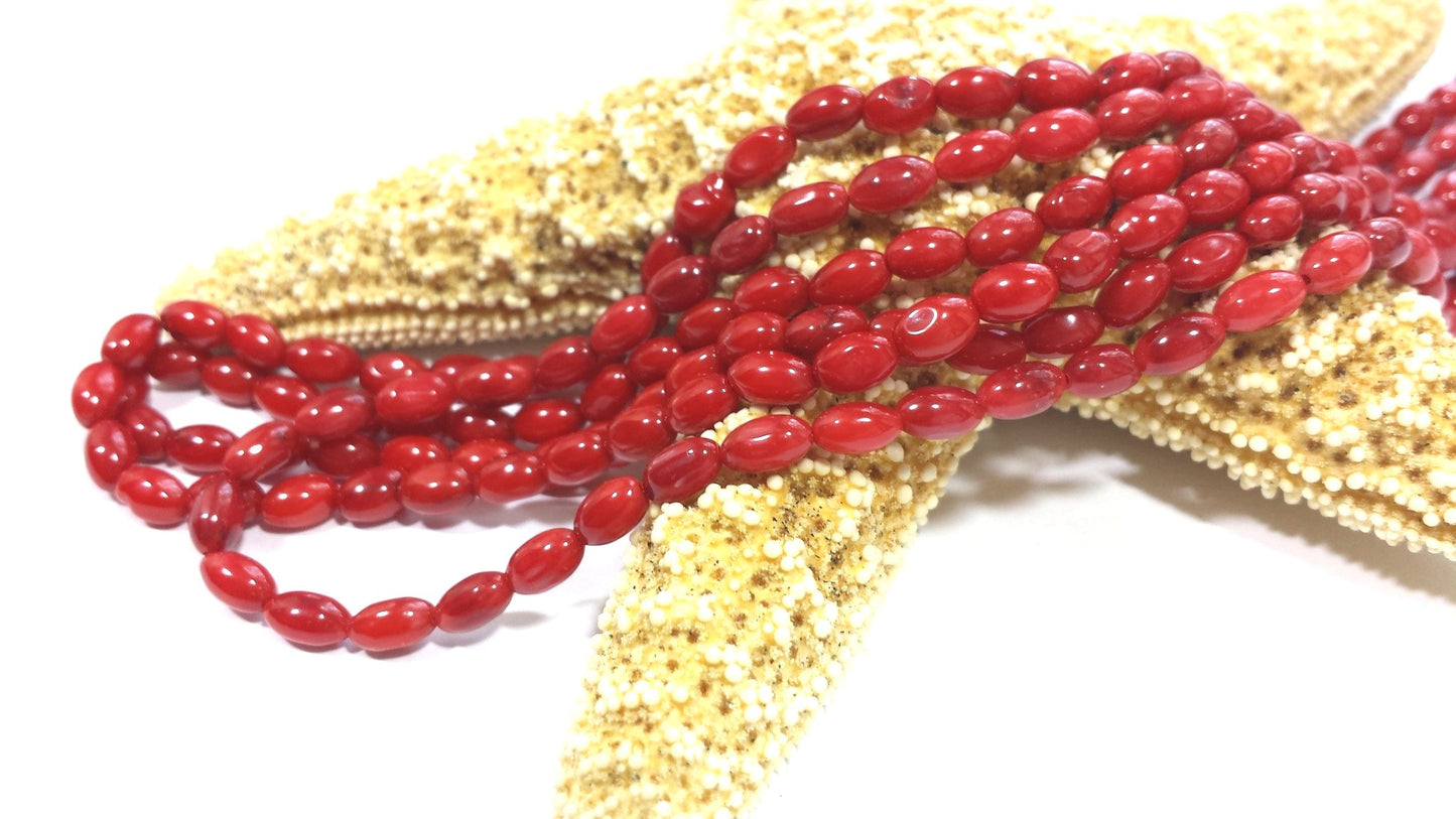 Bamboo Coral Red Rice