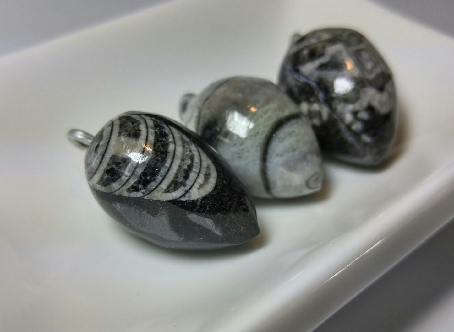 Orthoceras Fossil Pendant