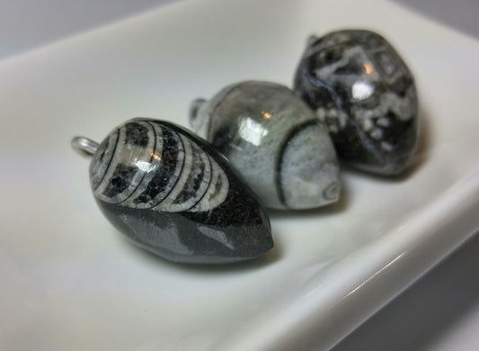 Orthoceras Fossil Pendant