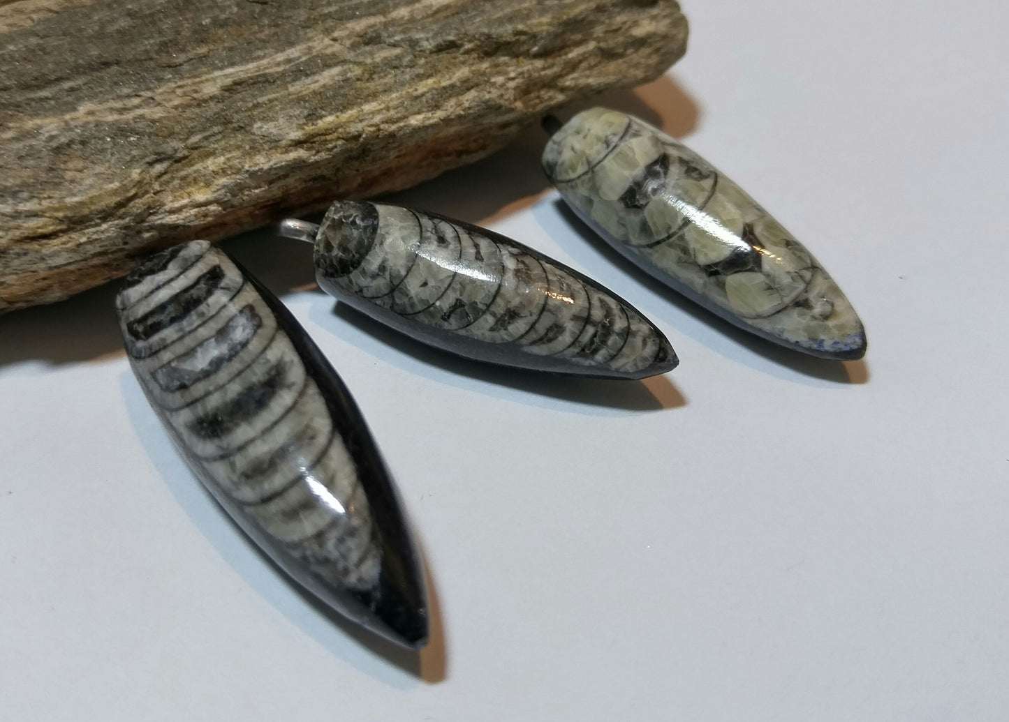 Orthoceras Fossil Pendant-Long