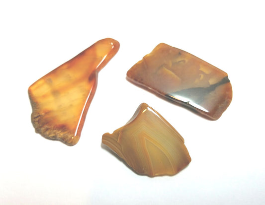 3 Slices of Genuine Agate
