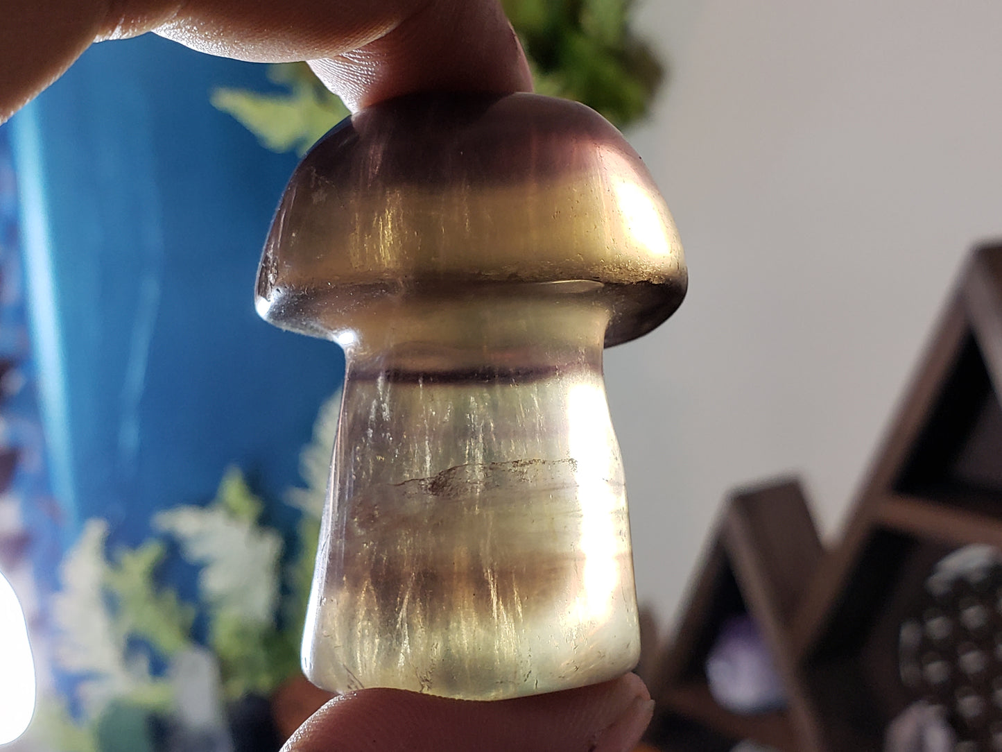 Rainbow Fluorite Mushroom #2