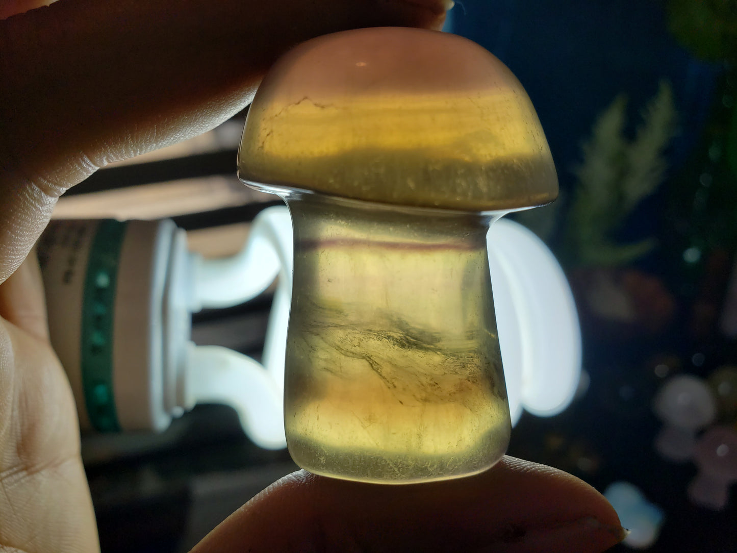 Rainbow Fluorite Mushroom #2