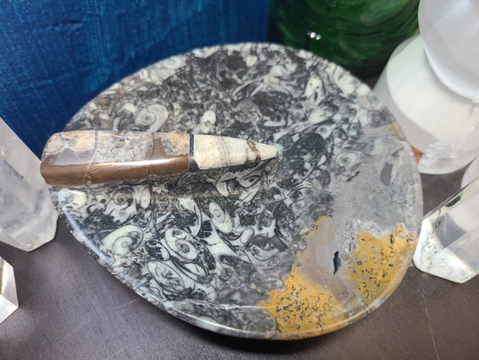 Ammonite/Orthoceras Carved Dish