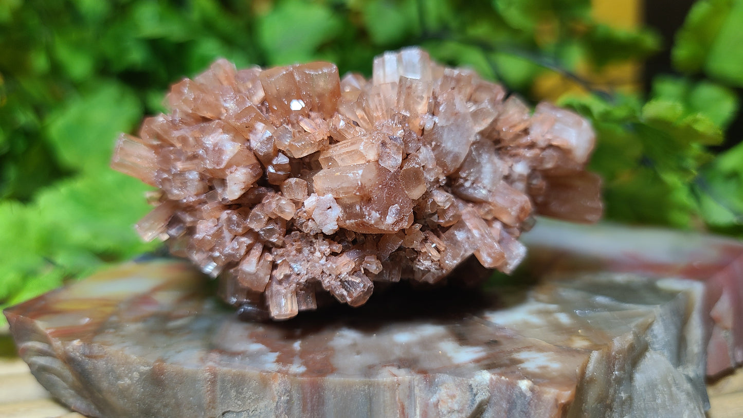 Aragonite Raw Cluster