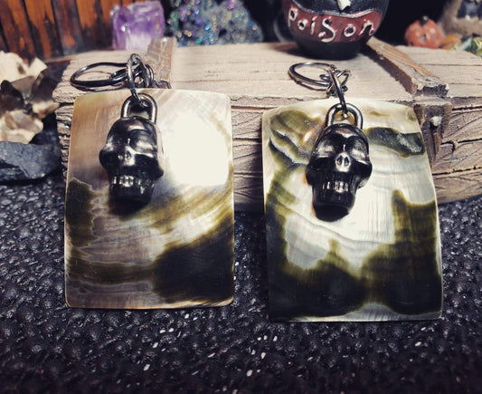 Black Lip shell with Skull